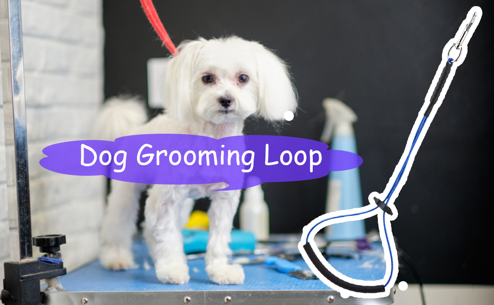 Dog Grooming Loop, Dog Cat Grooming Single Noose Hoop Dog Grooming Restraint Loop