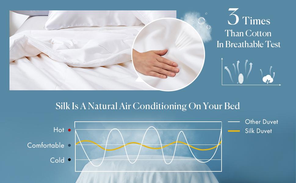 Mommesilk Mulberry Silk Comforter/Duvet/Quilt, 100 Pure