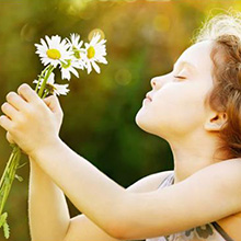 Ammonia-free hair dye shampoo