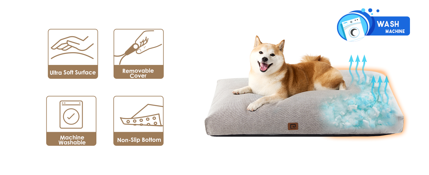 dog bed