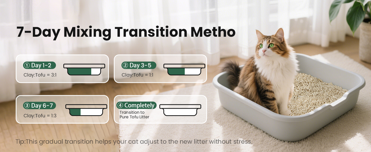 7-Day Mixing Transition