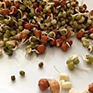 Small manufacture image 6