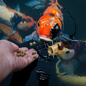 Small manufacture image 2