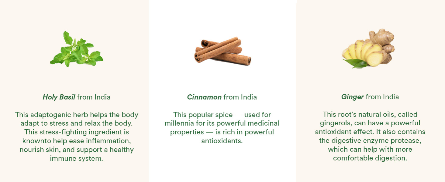 Holy Basil, Cinnamon, and Ginger from India.