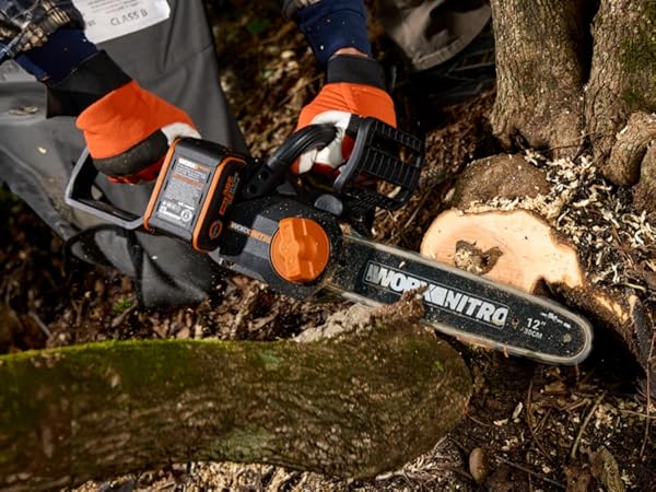 Amazon.com : Worx Nitro 20V 12