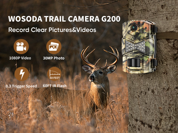 Amazon.com: WOSODA 2 Pack Trail Cameras with Night Vision