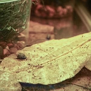 Small manufacture image 1