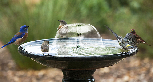 ソーラーポンプ 屋外 ソーラー