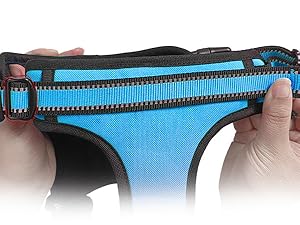 dog harness