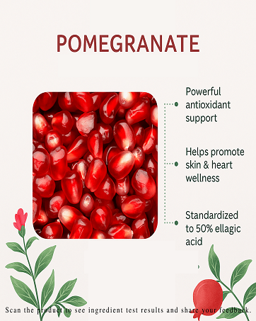 Pomegranate