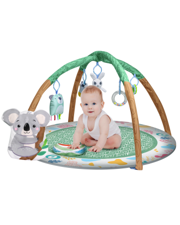 Baby Play Gym