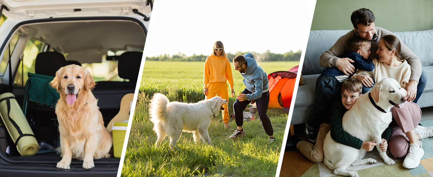 Love your pet and family