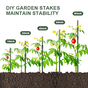 garden stakes