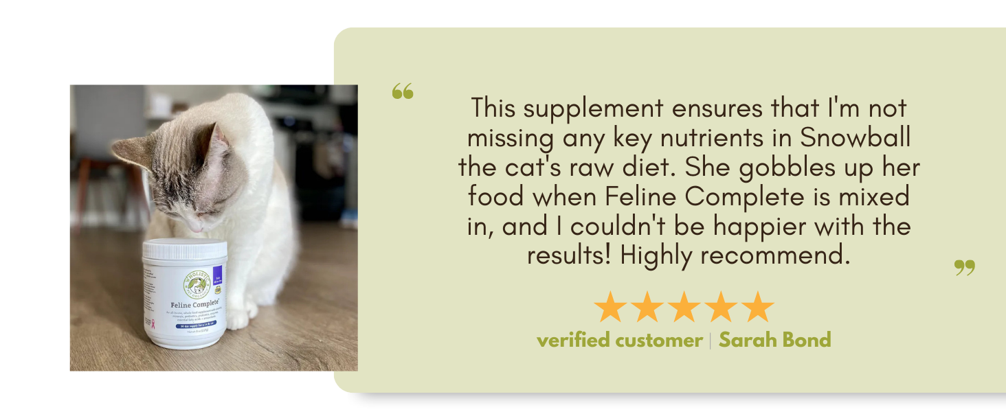 digestive supplements for cats cat digestive supplements cat skin and coat supplement cat allergy