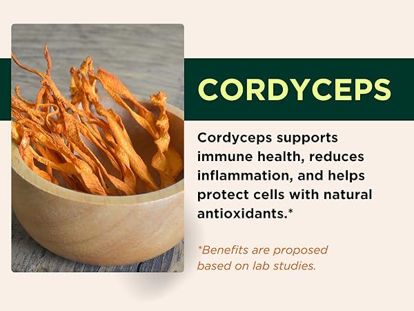 Cordyceps Mobile