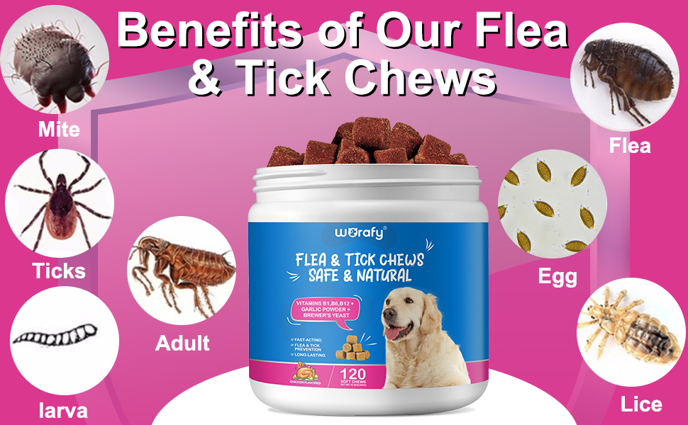 Flea and Tick Prevention for Dogs Chewable Flea and Ticks
