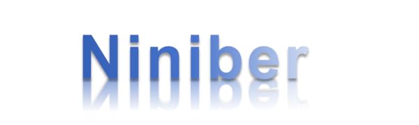 Niniber