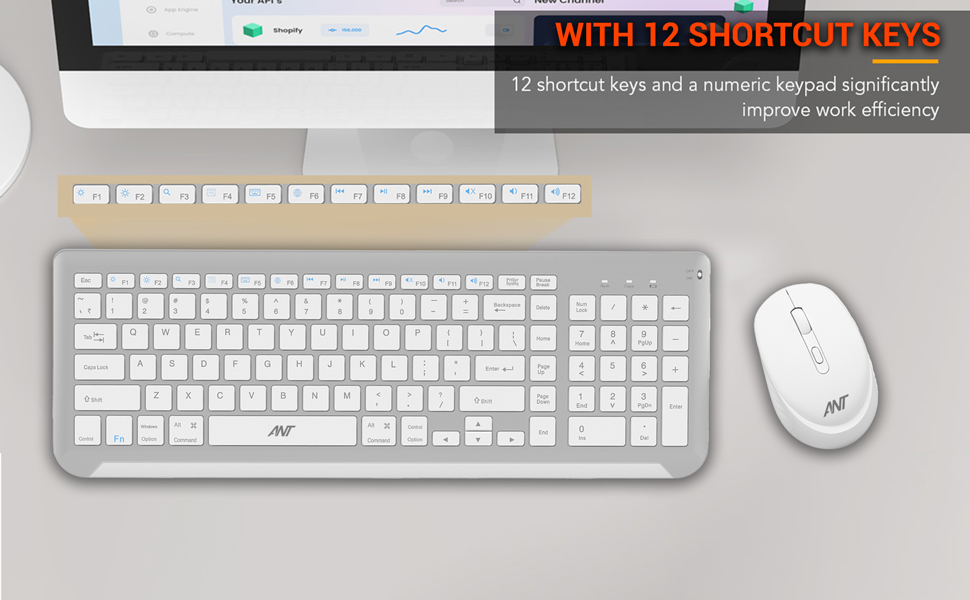 Ant WK250 Membrane Keyboard Professional Wireless Combo