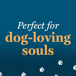 This book is a perfect gift for dog lovers and animal lovers.