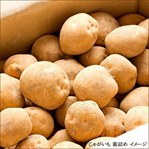なおみ様　新ジャガイモ5キロ Amazon | 北海道産 新じゃが じゃがいも 男爵薯 5kg (共撰/M-LM