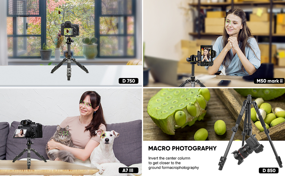 Stabilized tabletop vlog mirrorless SLR tripod