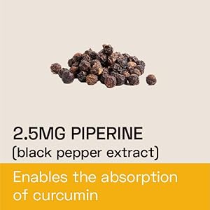 ENABLES THE ABSORPTION OF CURCUMIN