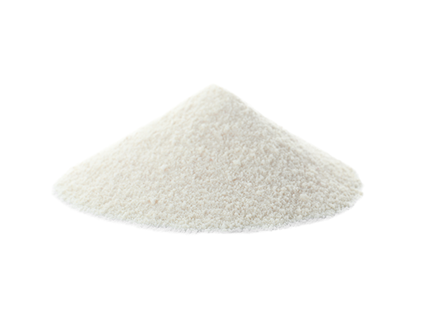 MegaDuo spore-based Bacillus probiotic digestion gut health benefits.