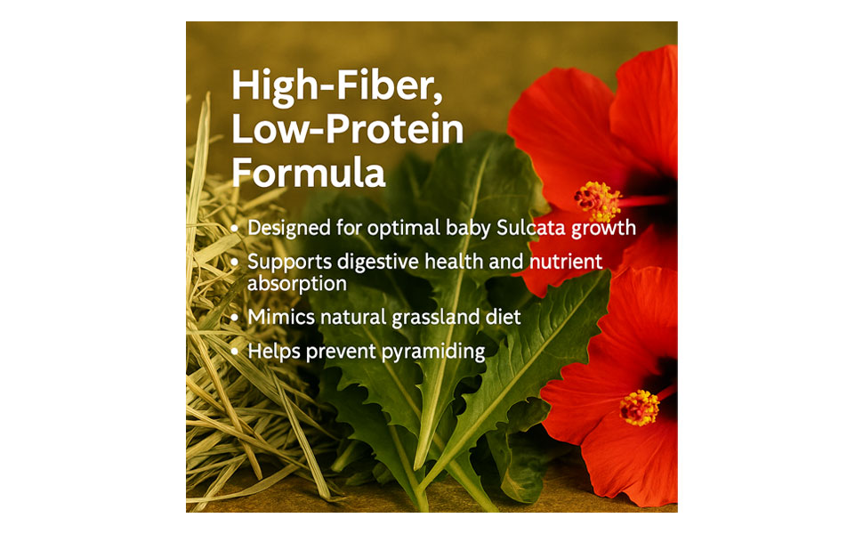 Baby Sulcata Superfood Powder