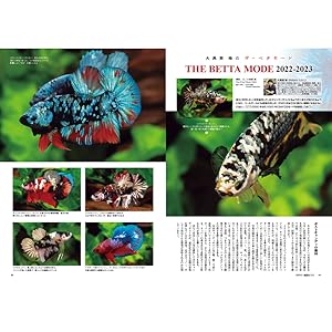 MiNiMa Vol.2 アクアリウムに描かれた小型美魚の世界 MiNiMa Vol.2 アクアリウムに描かれた小型美魚の世界 MiNiMa Vol