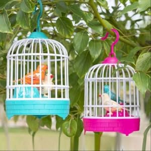 MOKRUSH Talking Bird Toy for Kids