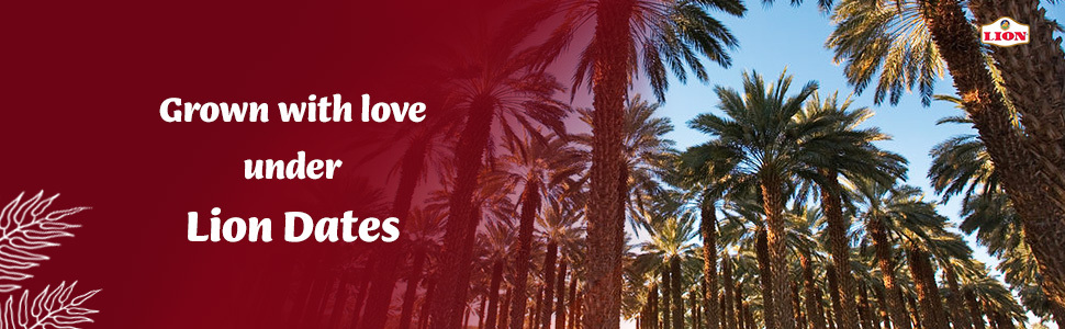 Large manufacture image 4