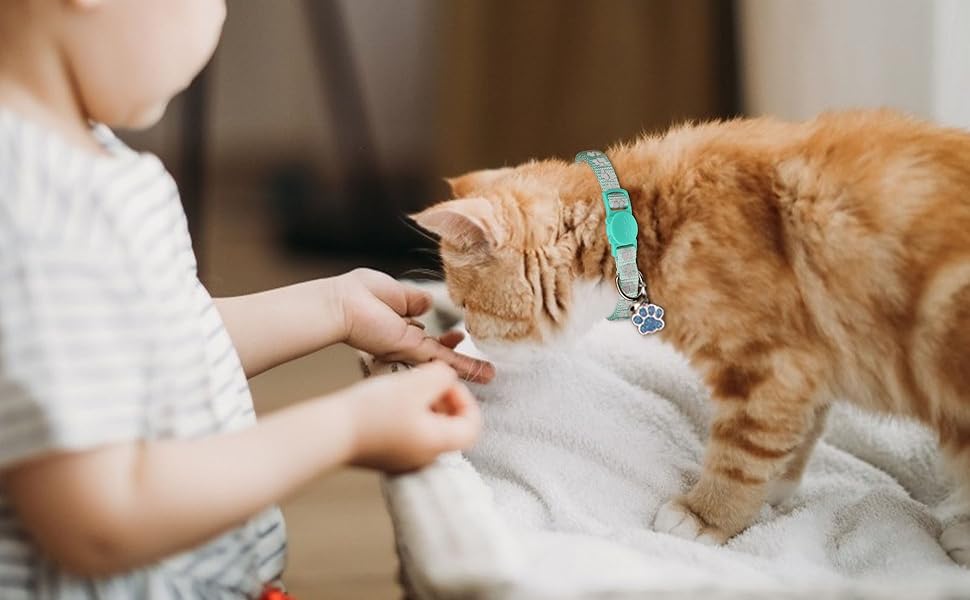 Cat Collar with Bells