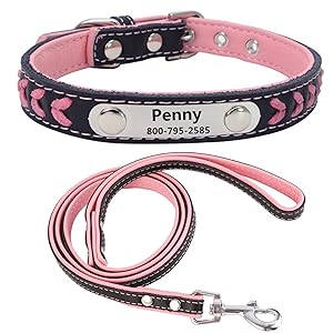 パリで購入WOUAPY本革犬用リード＆首輪濃い緑新品タグ付き Amazon | THAIN 犬 首輪 迷子札 リード 犬 首輪 リード 名前 本