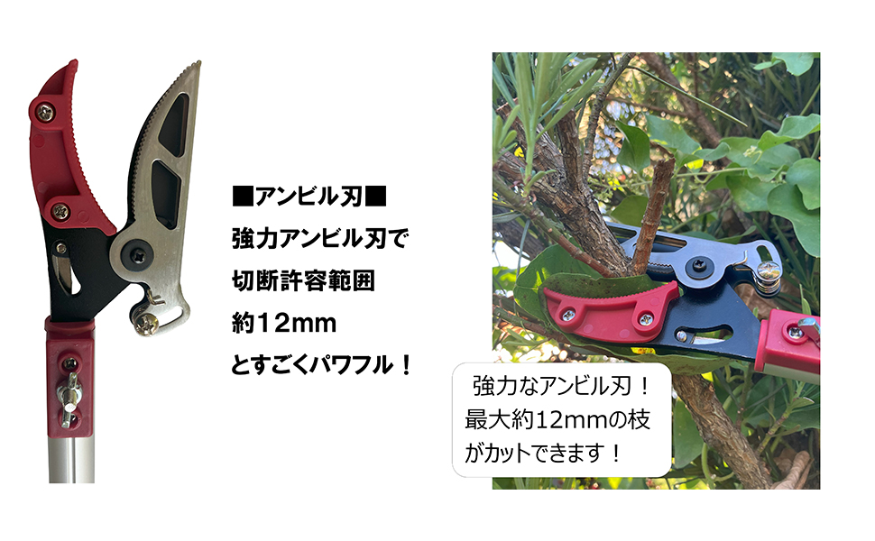 Amazon | DAISHIN ちょうどいい2m 超軽量620g 鋸刃付き 大進