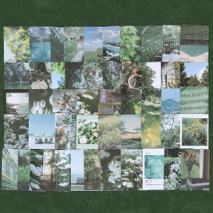 plants scrapbook paper