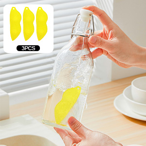 bottle cleaning sponge