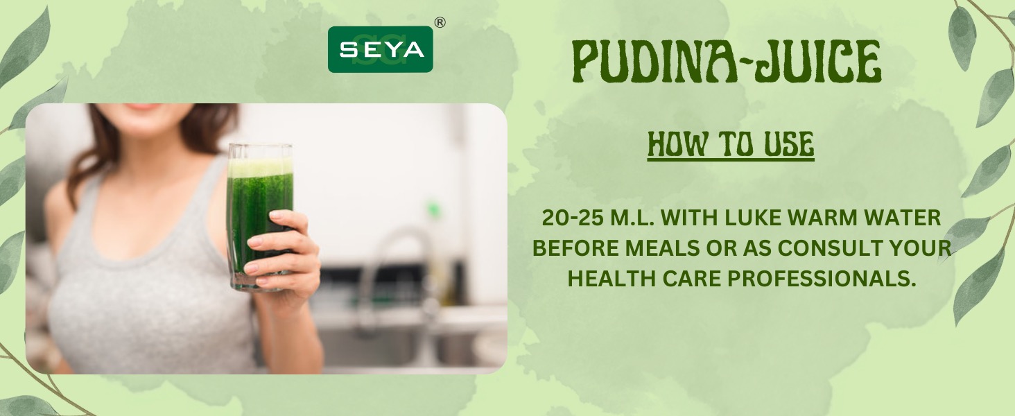 pudina juice