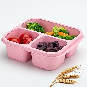 Bento Snack Box
