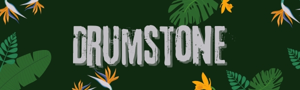 Review Drumstone (𝟏𝟎 𝐘𝐞𝐚𝐫𝐬 𝐖𝐚𝐫𝐫𝐚𝐧𝐭𝐲) 8-In-1 Ab Twister Board For 4 B0F2Twk28Z