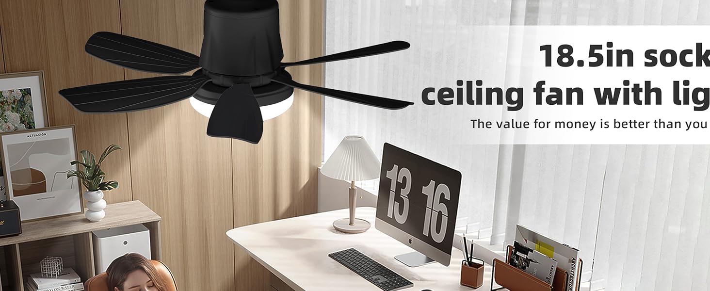 celling fan