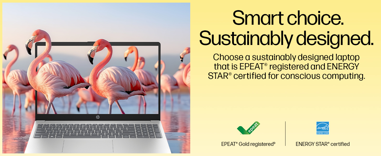 Sustainability