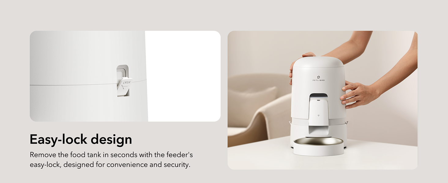 alimentadores automáticos para gatos 2 gatos