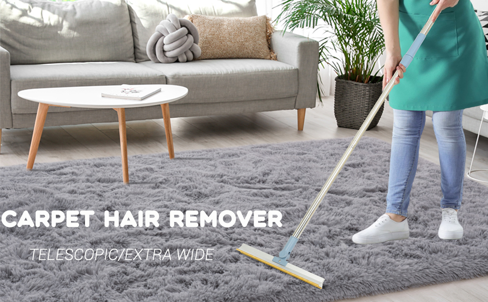 Lint Remover Carpet Scraper Tool, 30cm Wide Long Handle Carpet Rake