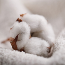 Organic Cotton Baby Cloths