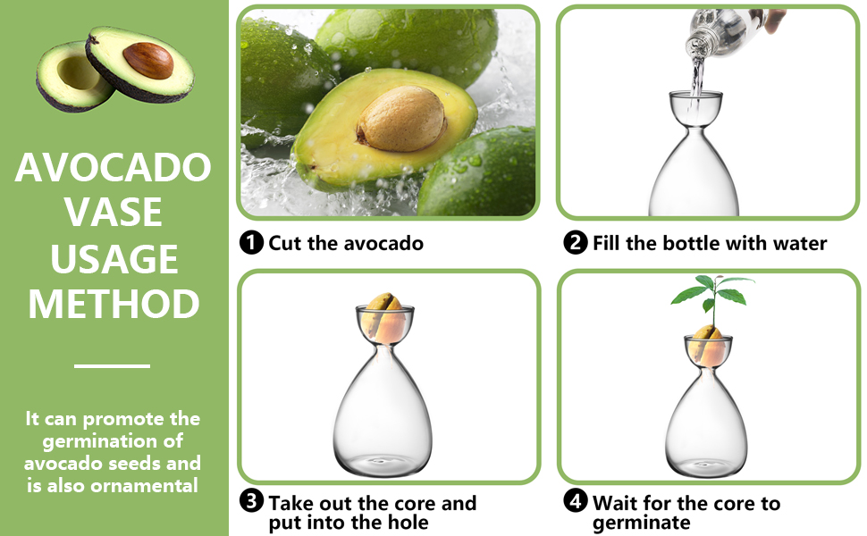 RunNico 2pcs Small Avocado Seed Starter Vase,Avocado Tree