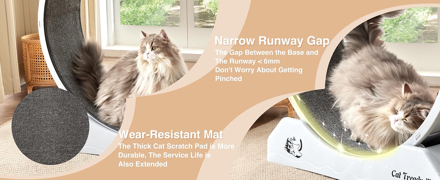 EXQ Home Cat Exercise Wheel, 31.5 Inch Cat Treadmill for