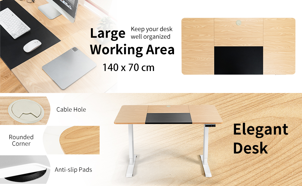 Electric Standing Desk Stand-up Ergonomic Computer Workstation Smart Controller 13 3