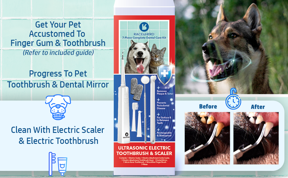 Race&Herd Dog Toothbrush Kit & Cat Toothbrush, Ultrasonic