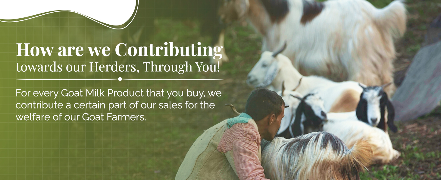 Aadvik Goat Milk Ghee with Ayurvedic Benefits Naturally Fed Goats