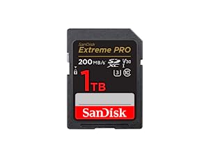 SanDisk SSD 1TB(SDSSDE61-1T00-GH25)⑩ 1 TB ブラック SanDisk Extreme Portable SSD | Sandisk